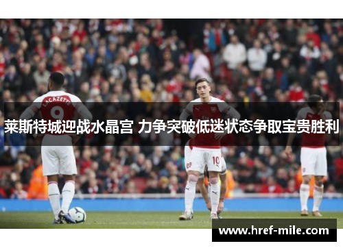 莱斯特城迎战水晶宫 力争突破低迷状态争取宝贵胜利 莱斯特城迎战水晶宫 力争突破低迷状态争取宝贵胜利