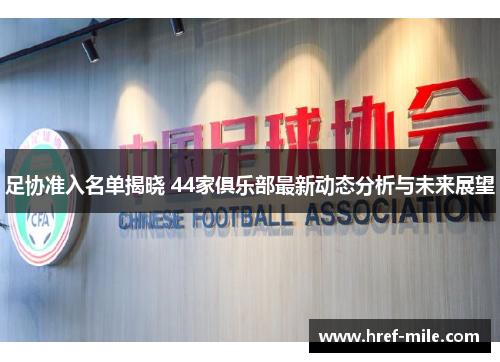 足协准入名单揭晓 44家俱乐部最新动态分析与未来展望 足协准入名单揭晓 44家俱乐部最新动态分析与未来展望