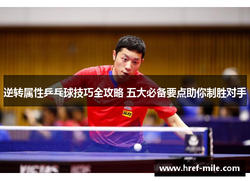 逆转属性乒乓球技巧全攻略 五大必备要点助你制胜对手 逆转属性乒乓球技巧全攻略 五大必备要点助你制胜对手