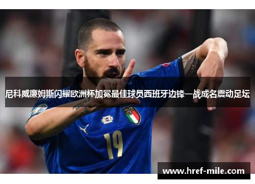 尼科威廉姆斯闪耀欧洲杯加冕最佳球员西班牙边锋一战成名震动足坛