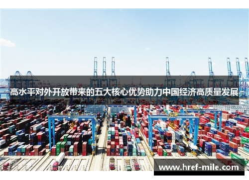 高水平对外开放带来的五大核心优势助力中国经济高质量发展