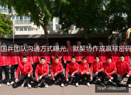 国乒团队沟通方式曝光，默契协作成赢球密码